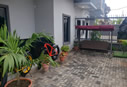 Forthright Garden